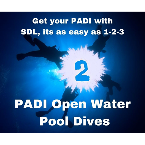 2 - PADI Open Water Pool Dives
